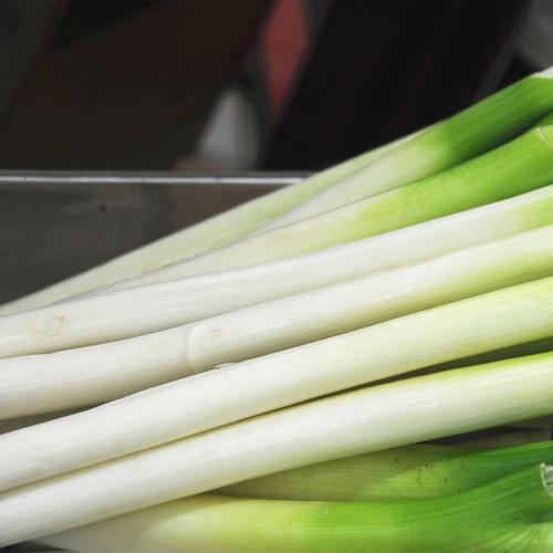 全水溶优质大葱葱白粉        葱白粉 【产品名称】葱白粉 【英文名称
