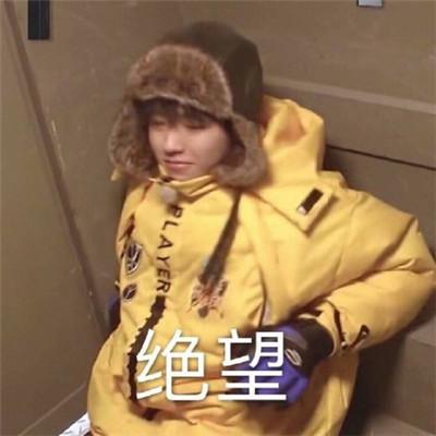 王俊凯表情包