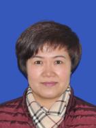 现任山东省夏津县人民政府副县长