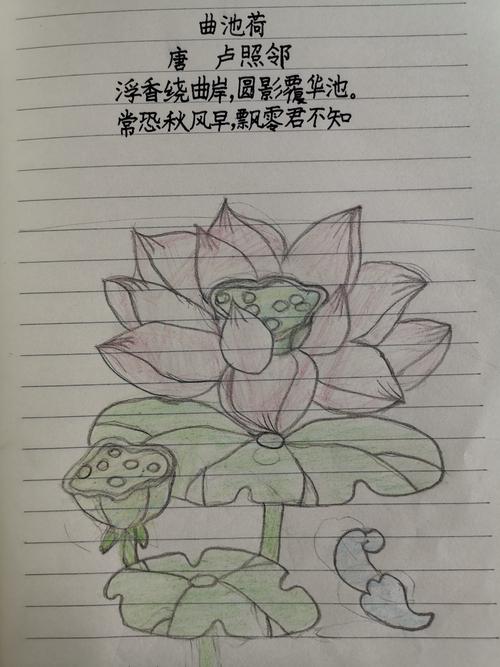 百家诗画《曲池荷》