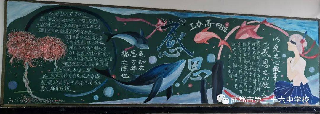 成都36中2021—2022学年度上期"感恩明志"主题黑板报评比活动