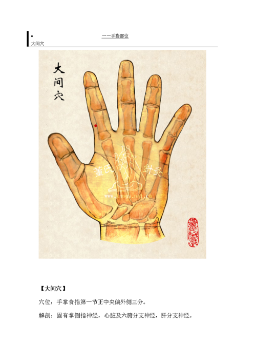 董氏穴位详解.doc