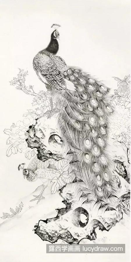 注意细致地刻画孔雀的头部和羽毛上的花纹,深浅,虚实要处理得当.