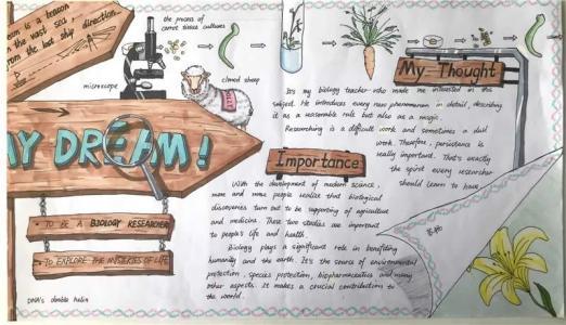 my dream小学生英语手抄报英语小报展