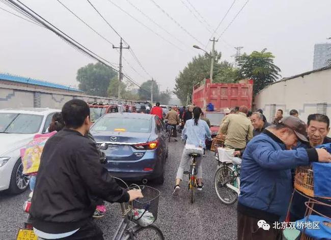 北京塔营北街占路鸟市阻挡上学路