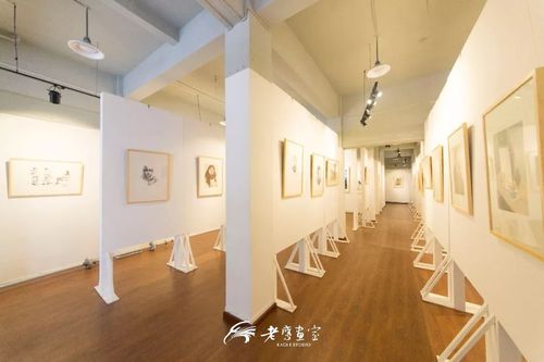 2019届老鹰画室预报名招生通道开通啦