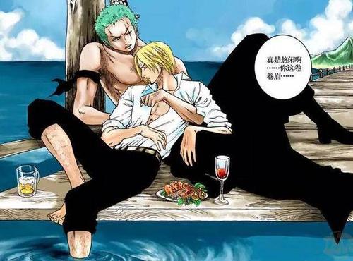 你们都错了,索隆和山治才是基情满满的真爱!