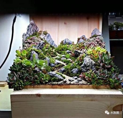发现kwon在多肉造景中 不仅运用了群山,溪流这些草缸的标志性元素 还