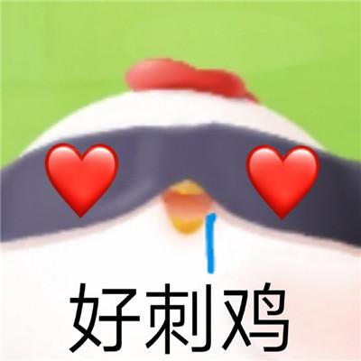 蚂蚁庄园小鸡的可爱聊天表情包大全