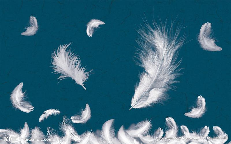 复古底纹飘落羽毛背景墙设计图__背景底纹_底纹边框_设计图库_昵图网