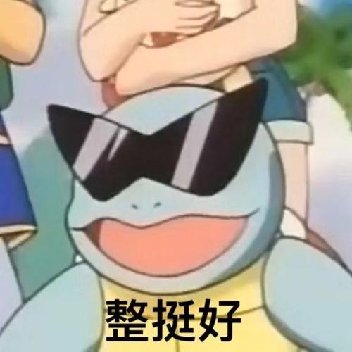 整挺好(杰尼龟表情包)