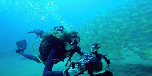 julia barnes: credit from sea of life