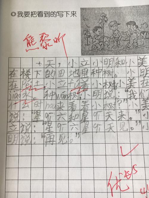 又一次"植树"