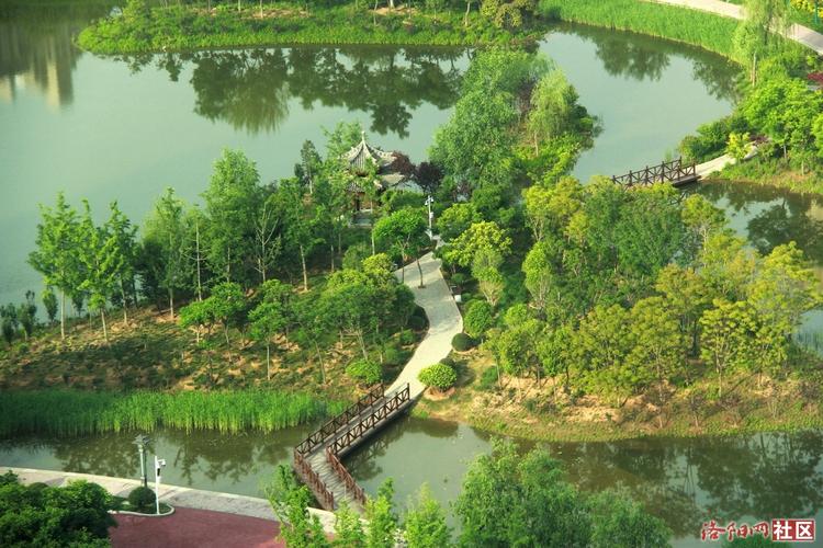 洛阳:我的城市-我的家