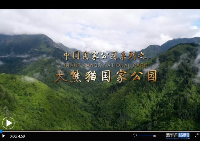 中国国家公园|大熊猫国家公园