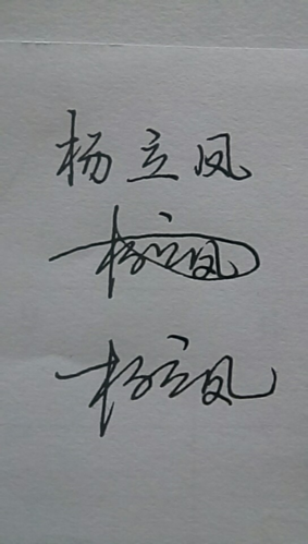 杨立凤艺术签名怎么写