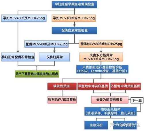 地中海贫血会遗传吗?