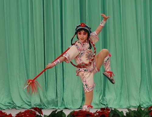 高雅艺术进校园:国家京剧院贾鹏飞徐滢