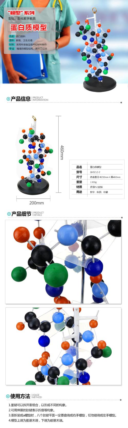qh3212-2 青华蛋白质二级结构模型 球棍式 生物器材 厂家销售