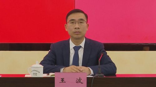 地方频道-泸州 区县新闻 合江县 王波对经济运行,重点项目建设,复工