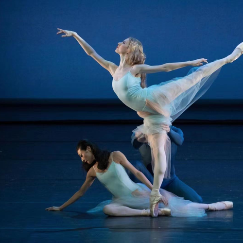 芭蕾舞 加拿大国家芭蕾舞学校芭蕾舞本科,波士顿芭蕾舞团芭蕾舞
