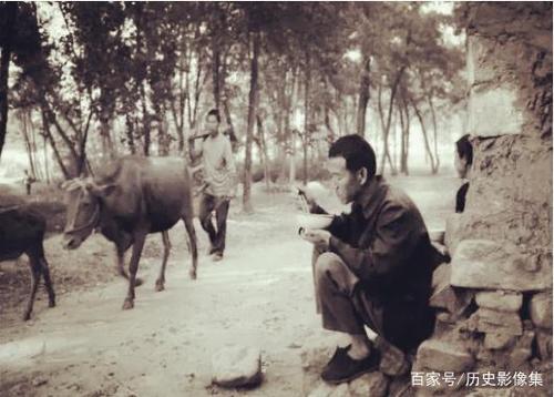 70年代的农村"饭场"老照片:还记得当年大树下吃过百家饭吗?