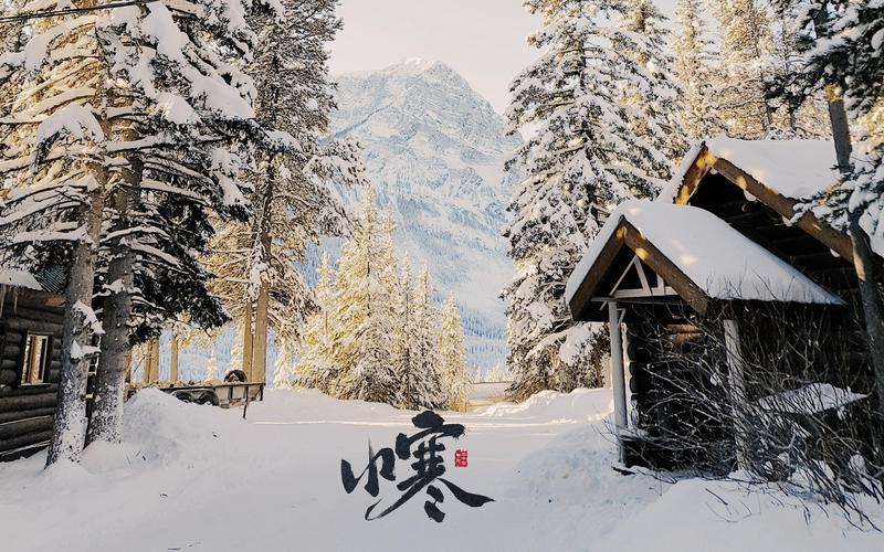 小寒时节唯美房屋冬天雪景风光