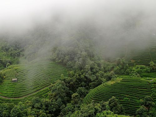 昭平大脑山美景2018.