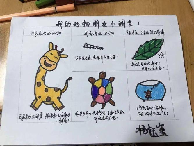 家里有什么小动物?幼儿园有哪些动物?