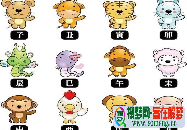 千万不能在一起的生肖配对组合,有你吗?