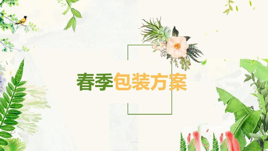 春季包装方案
