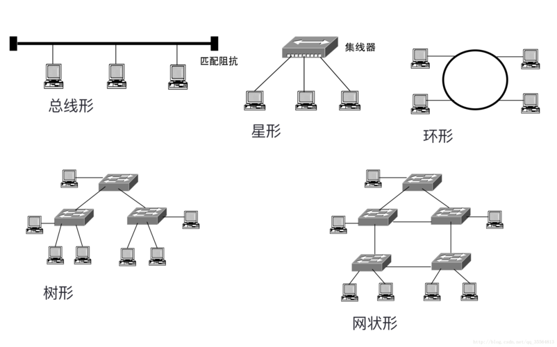 网络拓扑结构