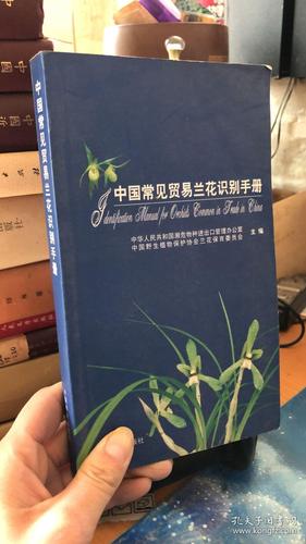 中国常见贸易兰花识别手册【未开封】精装.32开 铜版彩印