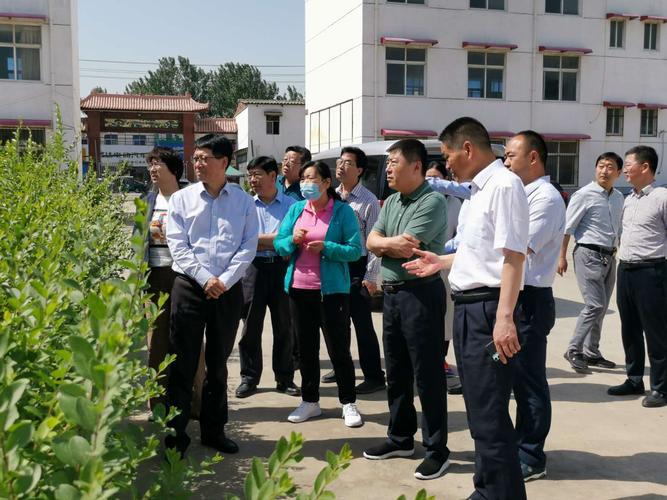 许昌市委常委宣传部长王自合调研文物保护工作