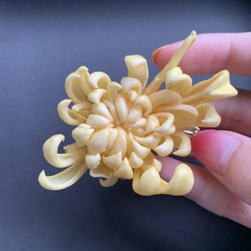 邂逅非遗通草花