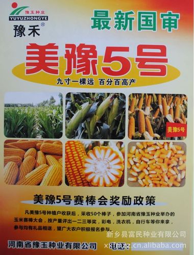 百分百高产玉米种子 美豫5号玉米品种 先正达锐胜包衣