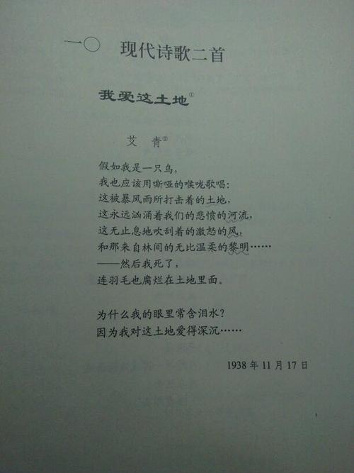 这是我爱这土地的问题