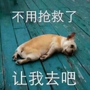 不用抢救了,让我去吧(狗子) - 超萌的汪星人表情包_狗子表情