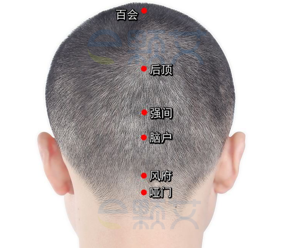 百会