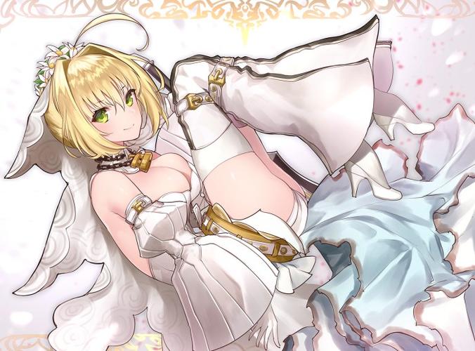 fate extra ccc/fate grand order 花嫁尼禄