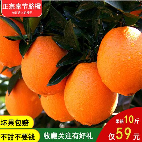 奉节脐橙现摘橙子新鲜当季水果赣南秭归甜橙晚橙带箱10斤