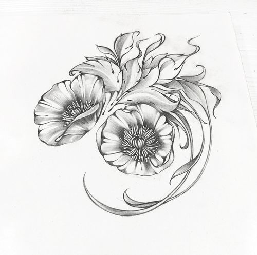 冰岛罂粟|纯艺术|素描|seasonjune - 原创作品 - 站酷