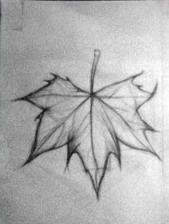 谁有 素描作业 就是画一些简单的线条明暗 谁有?