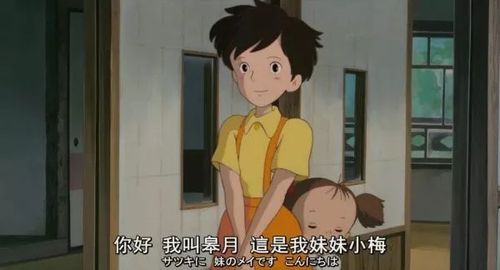 姐姐皋月(satuki) = 日文的5月狭山事件发生在5月1号,而《龙猫》中两