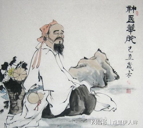 华佗巧治蜂毒的故事青苔中含有强力抗菌物质