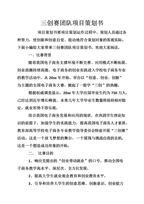 三创赛团队项目策划书.doc