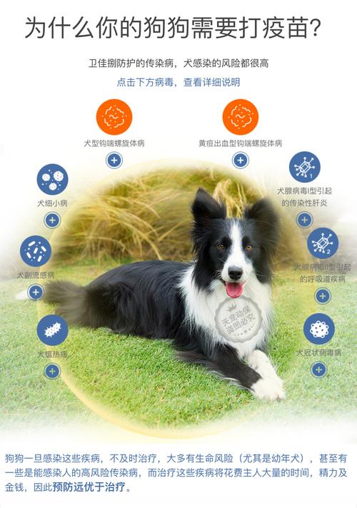 美国辉瑞硕腾卫佳捌基础免疫套餐 卫佳8瑞贝康狂犬疫苗狗狗幼宠物
