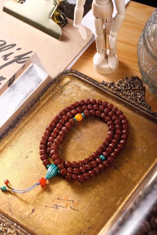 佛手小金刚为什么越来越受欢迎