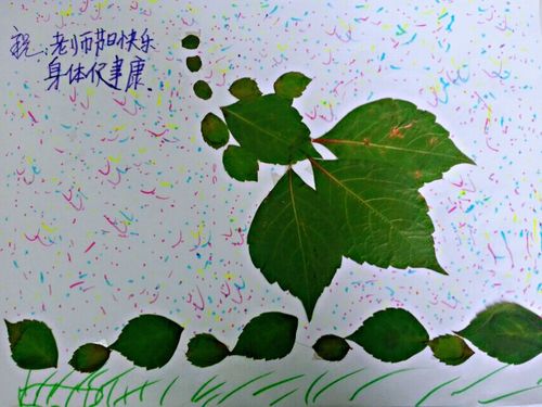 迎中秋亲子活动:树叶贴画