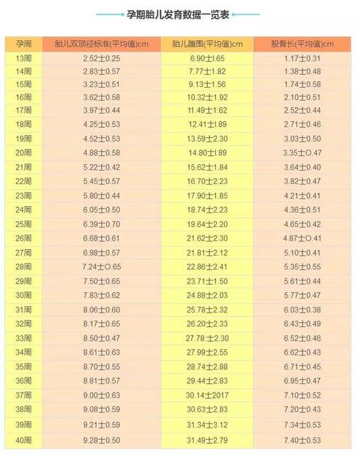 收藏!胎儿每月发育状态和成长标准数值